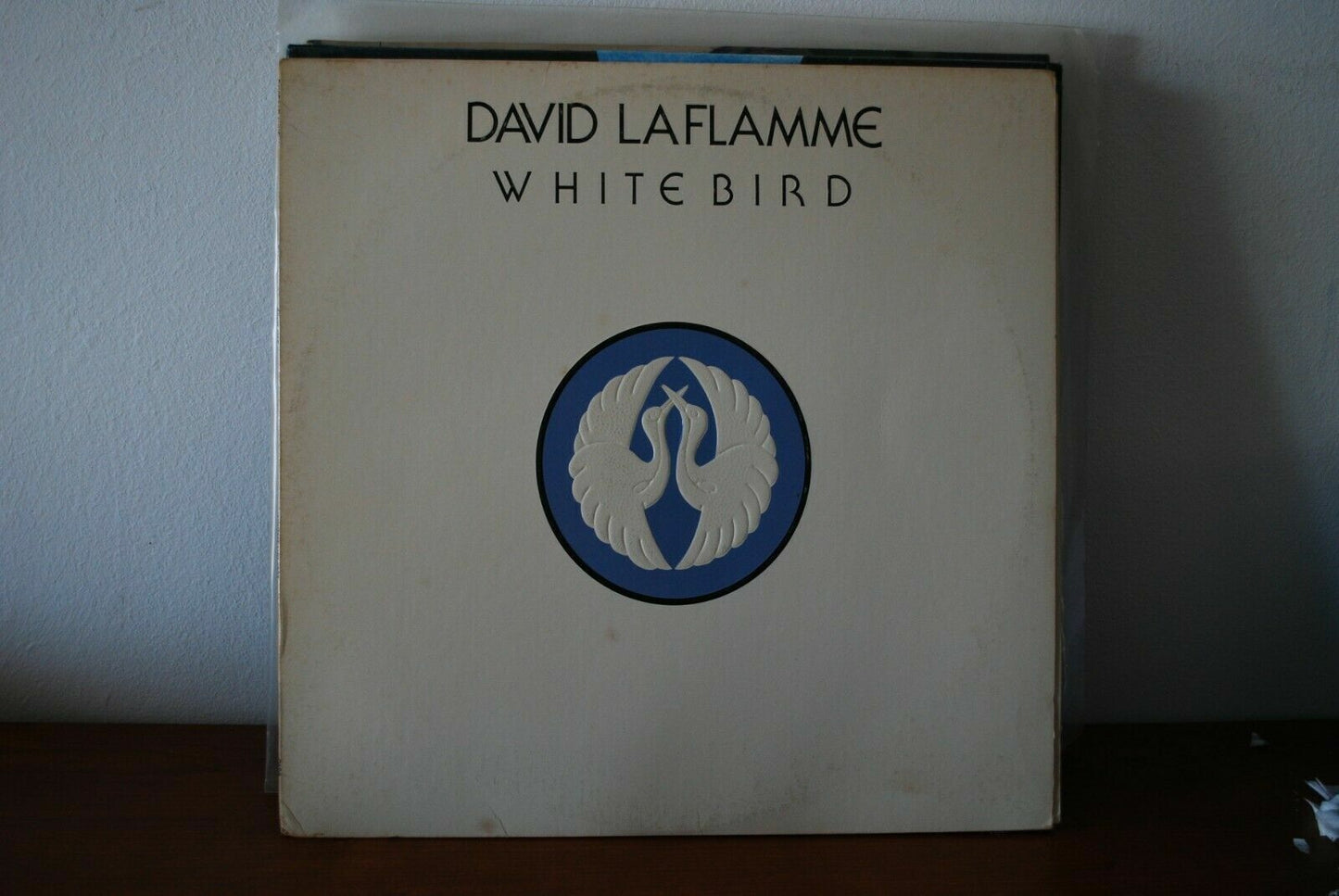 David LaFlamme – Oiseau blanc