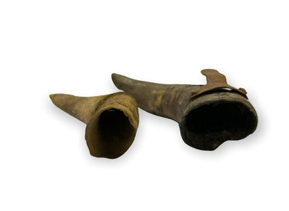 Antichi corni di animale