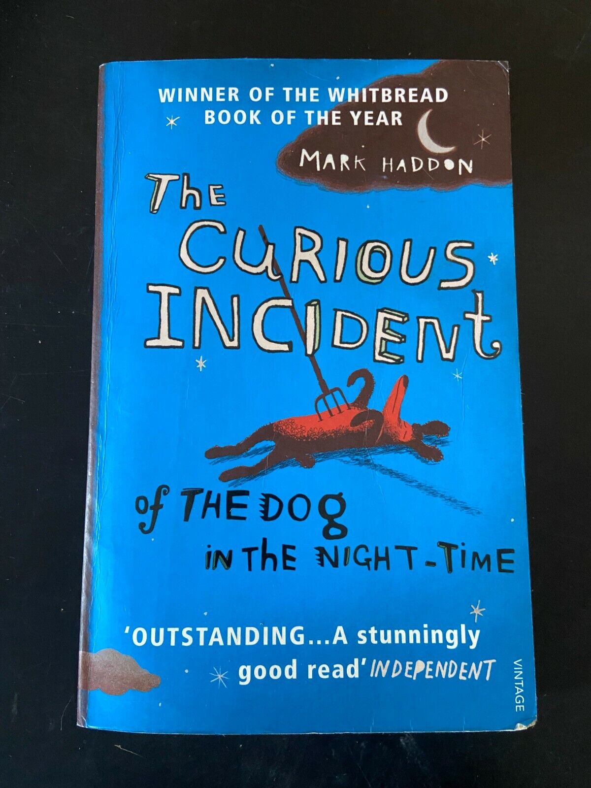 Libri - The curious incident of the dog in the night-time