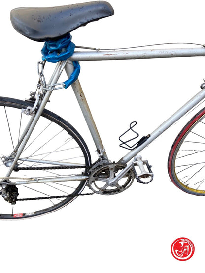 Bicicletta grigia per adulto