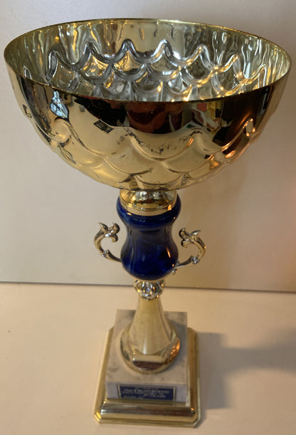 8^ Trofeo Vivi Il Playground Trofeo Propaganda ‘89 - 5^ Classe Moncalieri 2001