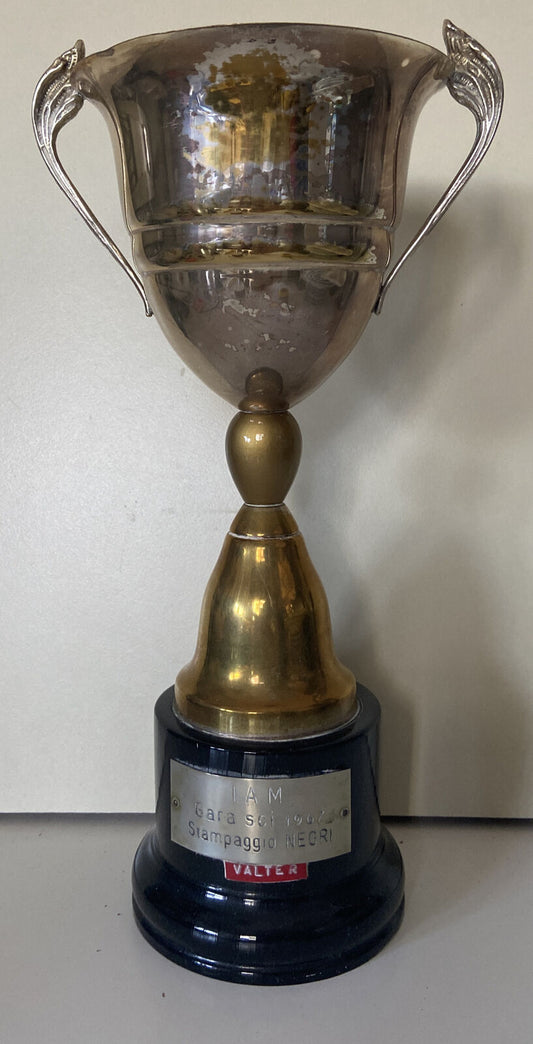 Negri Molding Ski Race Trophy