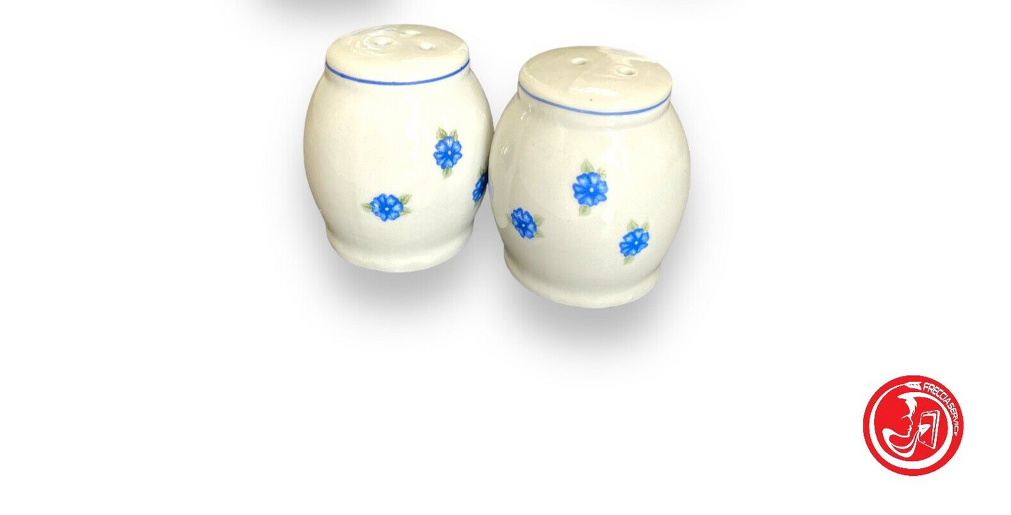 Ceramic salt and pepper shakers 