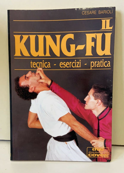 Kung-Fu book - technique - exercises - practice - Cesare Barioli