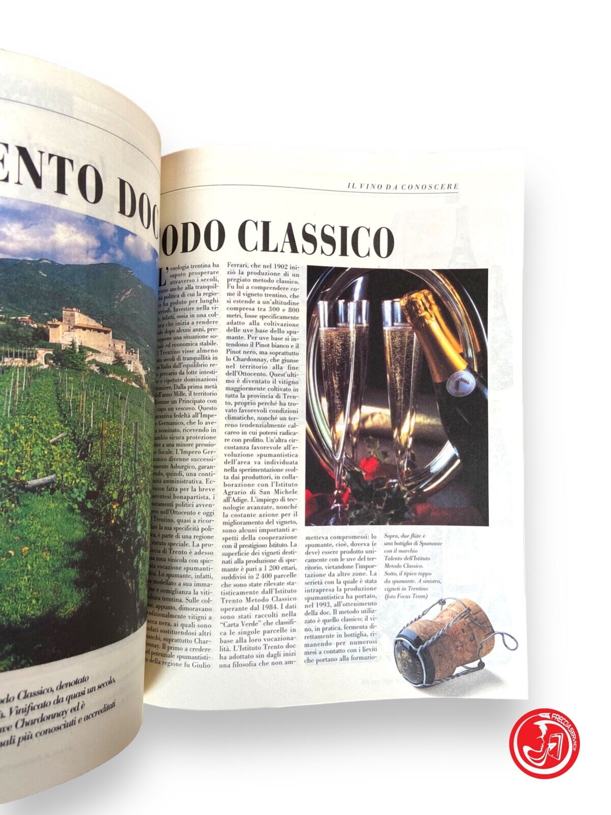 Italian cuisine - years 1990, 1991, 1992, 1993, 1994, 1995, 1996, 1997