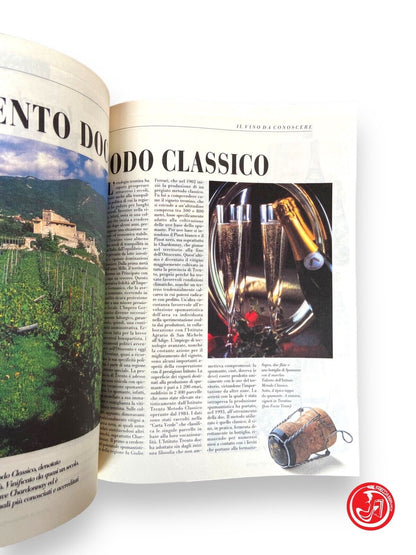 Italian cuisine - years 1990, 1991, 1992, 1993, 1994, 1995, 1996, 1997
