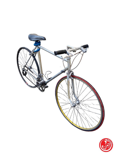 Bicicletta grigia per adulto