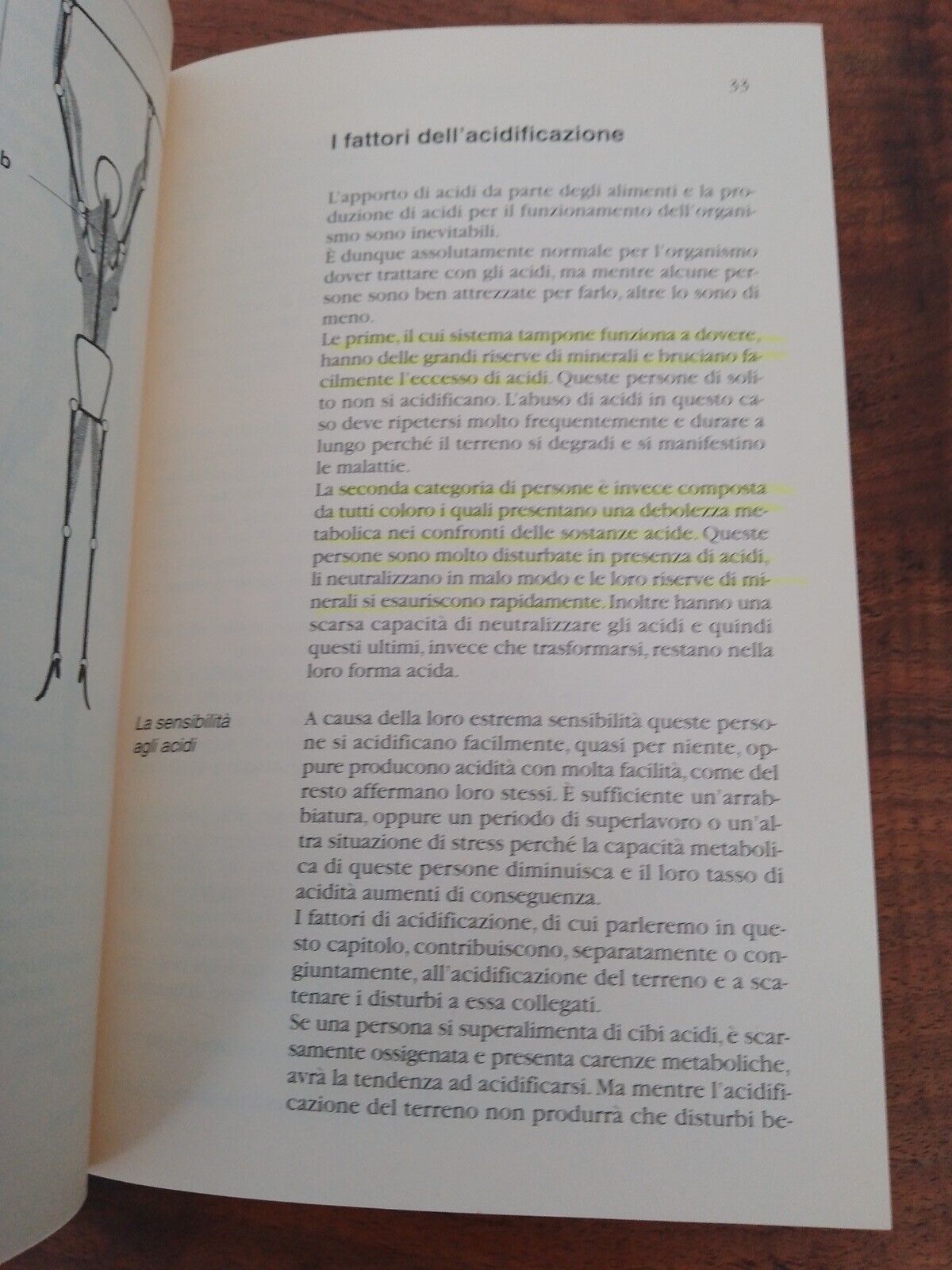 La dieta calibrata acido-base, C. Vasey, l'altra medicina/205, Red edizioni 2003