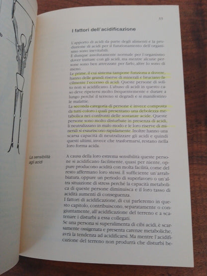 La dieta calibrata acido-base, C. Vasey, l'altra medicina/205, Red edizioni 2003