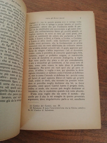 De gl'heroici furori, G. Bruno