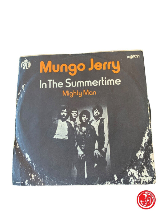 Mungo Jerry - In The Summertime