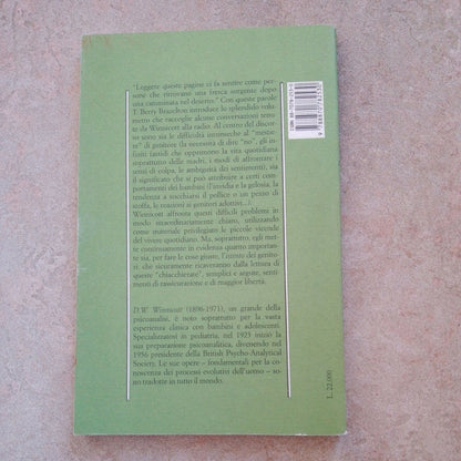 Entretiens avec les parents [Broché] Winnicott, Donald W. et Taidelli, M.