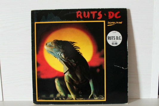 Ruts DC ‎– Animal Now