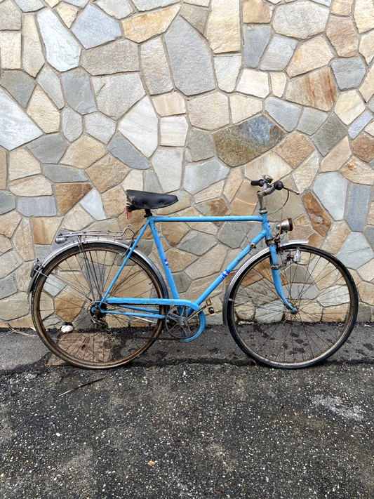 Bicicletta azzurra - adulto