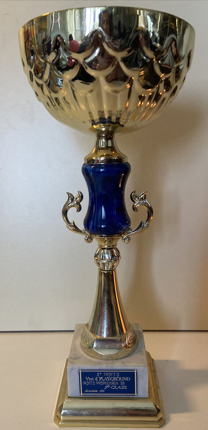 8^ Trofeo Vivi Il Playground Trofeo Propaganda ‘89 - 5^ Classe Moncalieri 2001