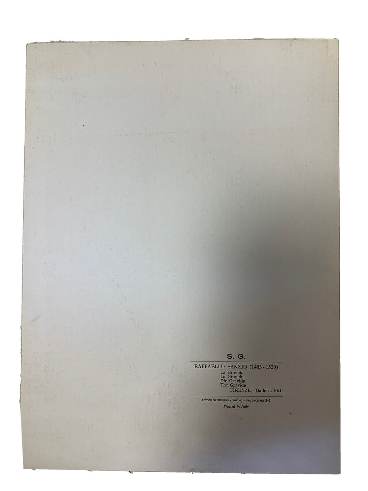 Stampa La gravida - Raffaello Sanzio
