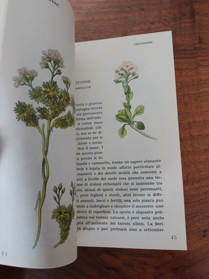 I Fiori della montagna, I Miracoli Della Natura, 1956