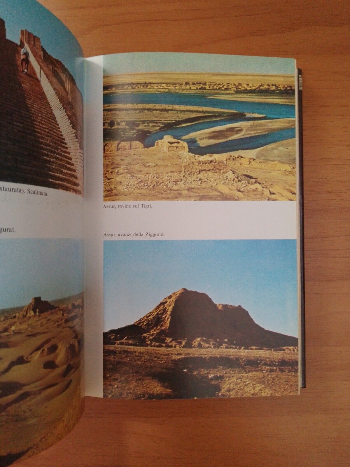 From the Sumerians to Babel - FA Arborio Mella - Mursia 1978