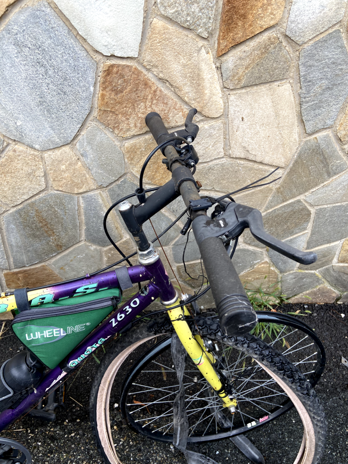 Bicicletta B.A.S. quota