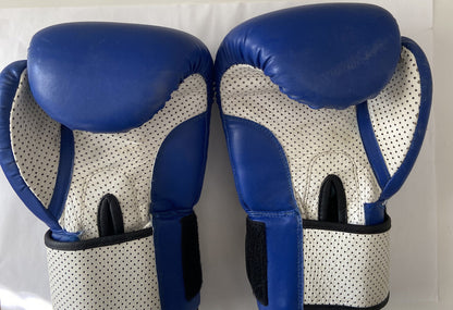 Gants de boxe bleus pour hommes