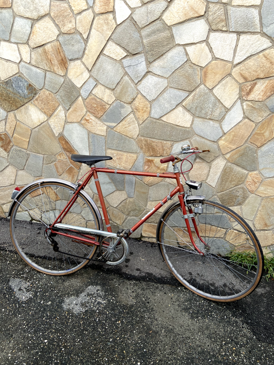 Bicicletta rossa lady - adulto
