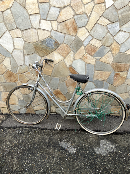 Bicicletta Graziella grigia
