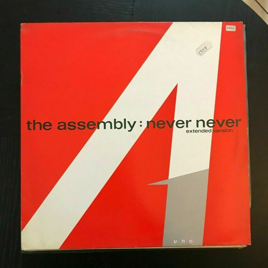 VINYLE The Assembly – Never Never (version étendue) 