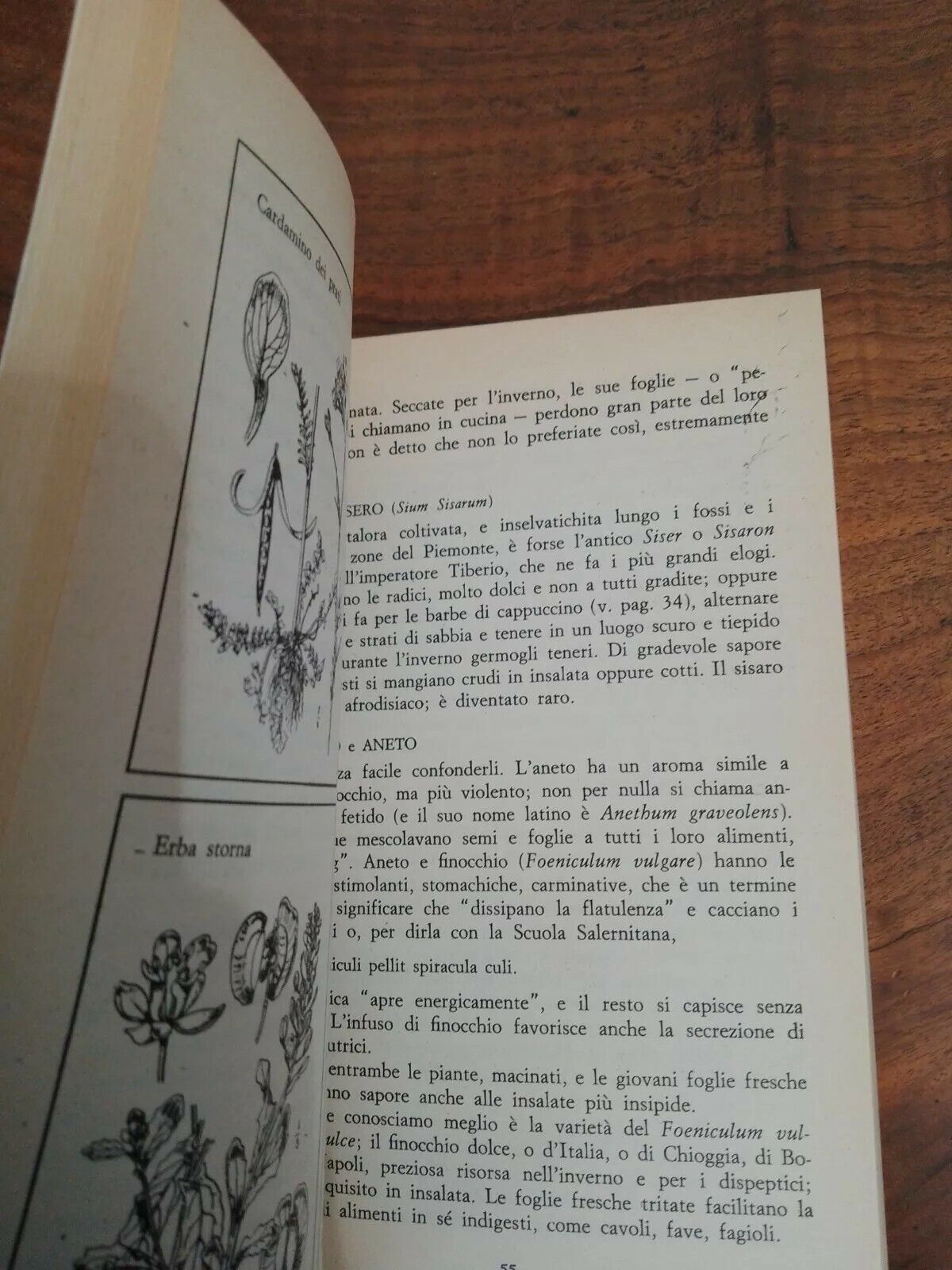 Il libro delle insalate, F.Lequenne, Mondadori, 1973