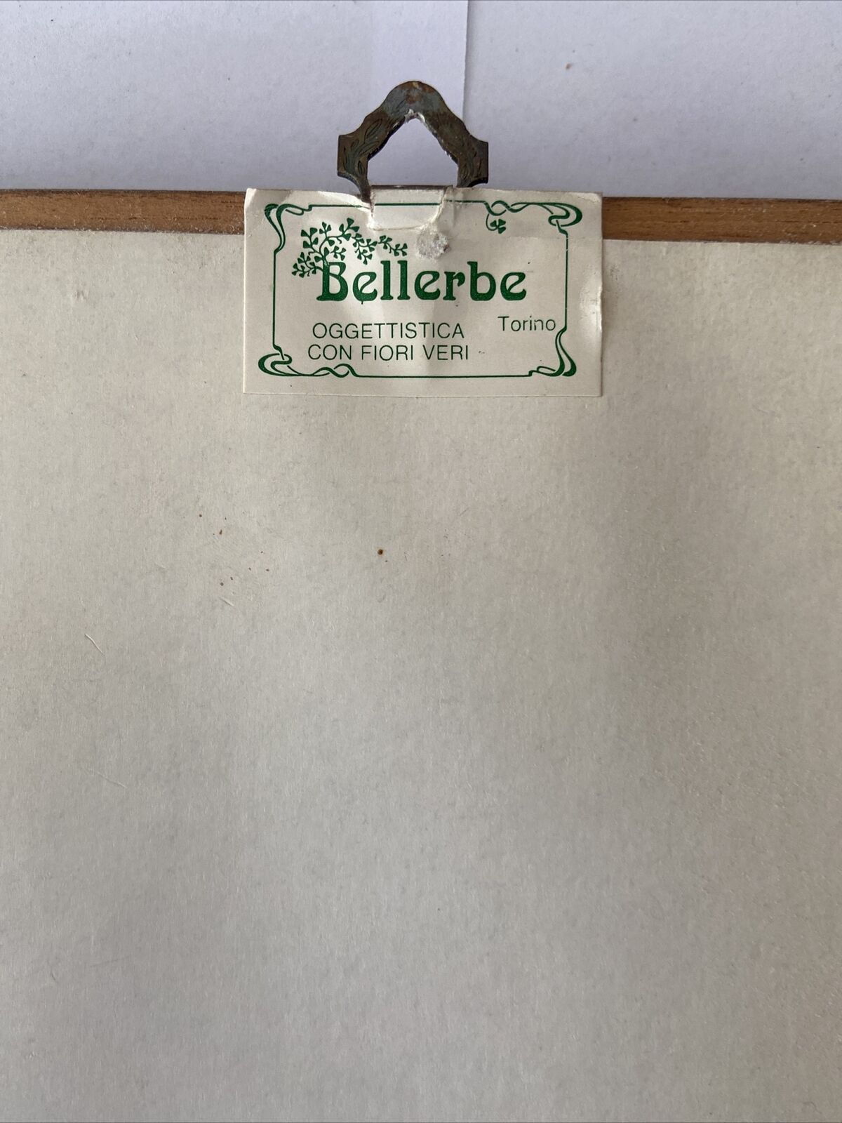 Cadre Bellerbe • Objets avec de vraies fleurs