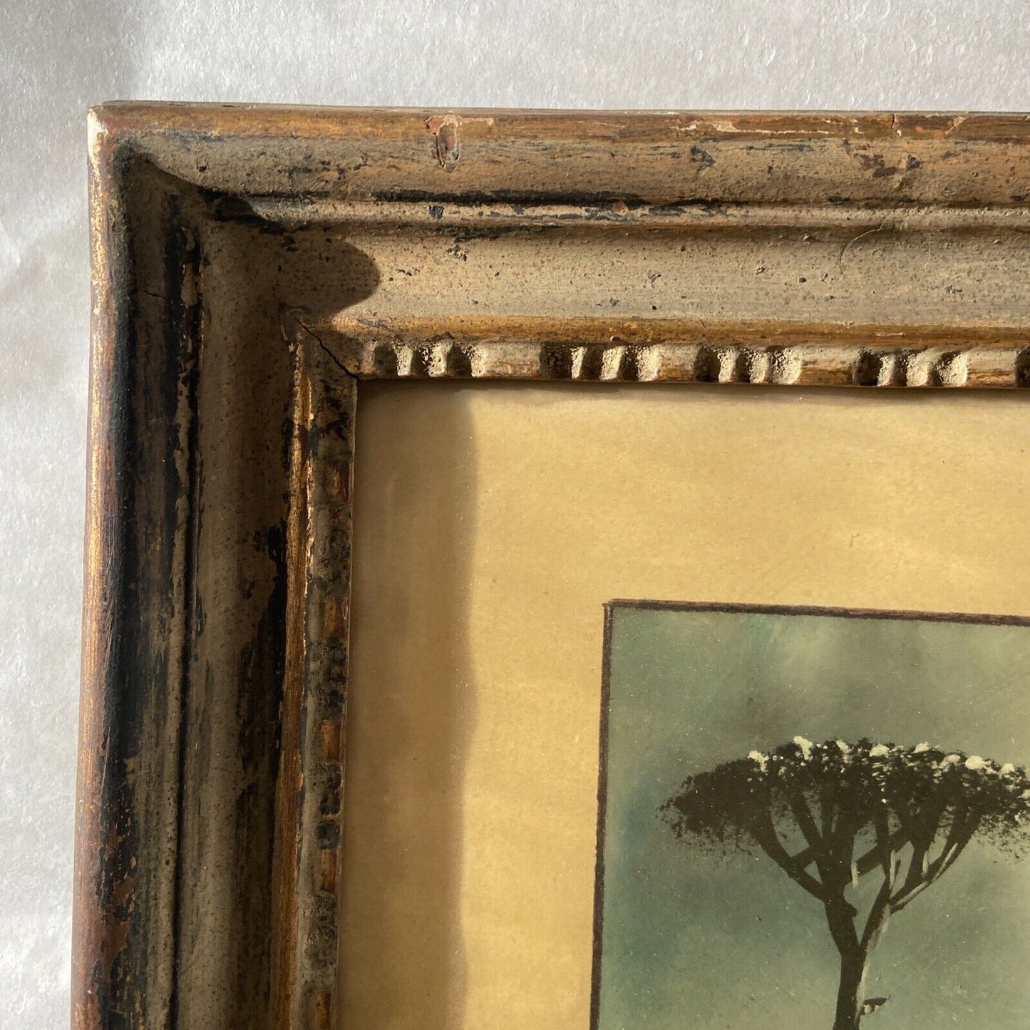 Quadro Paesaggio Naturale