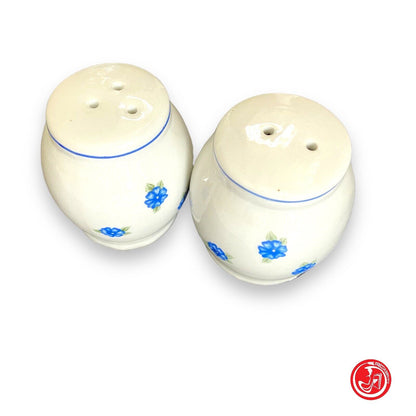 Ceramic salt and pepper shakers 