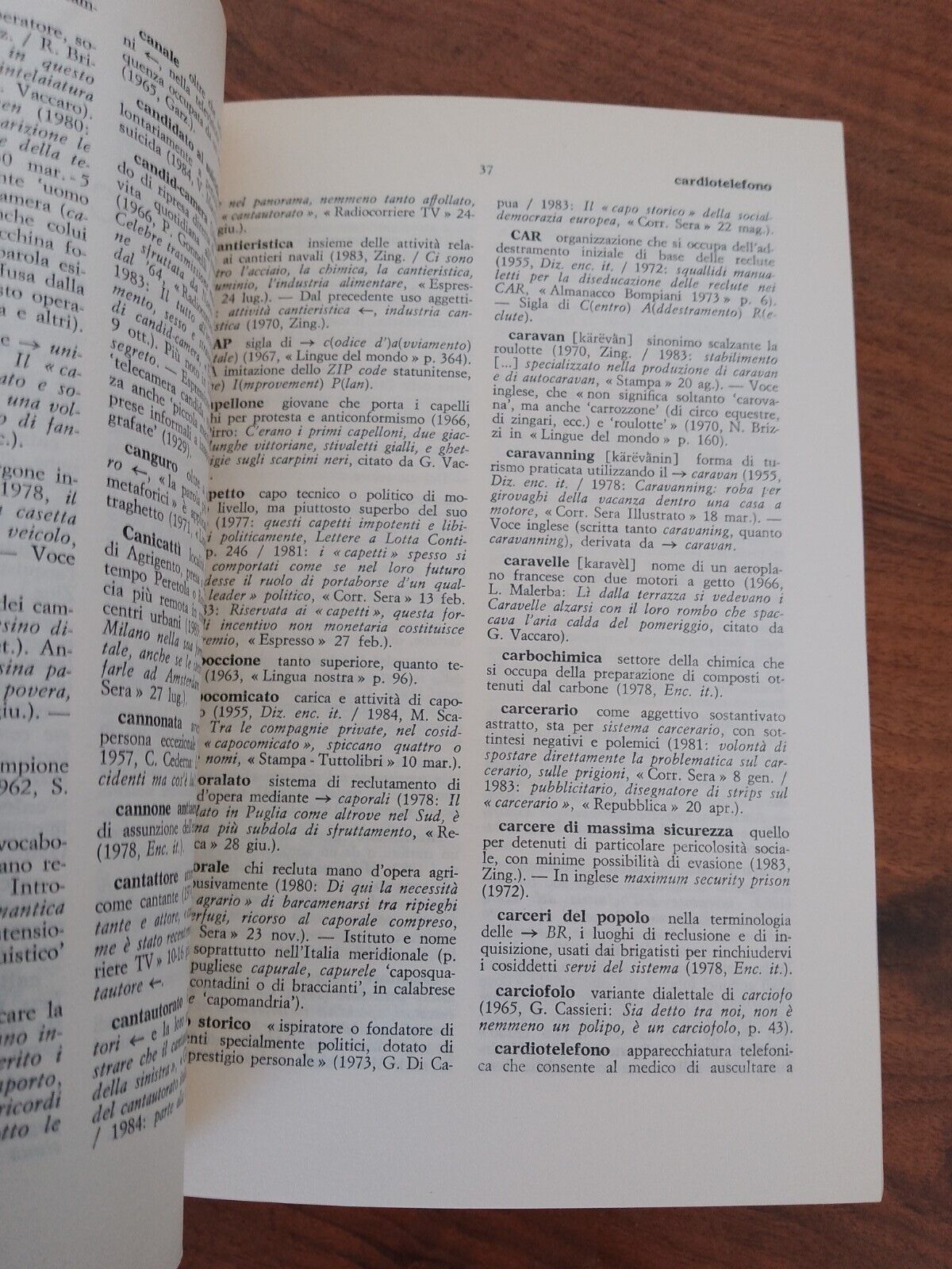 Dictionary of new words (1964 - 1984) by Cortelazzo-Cardinale, Loescher 1986