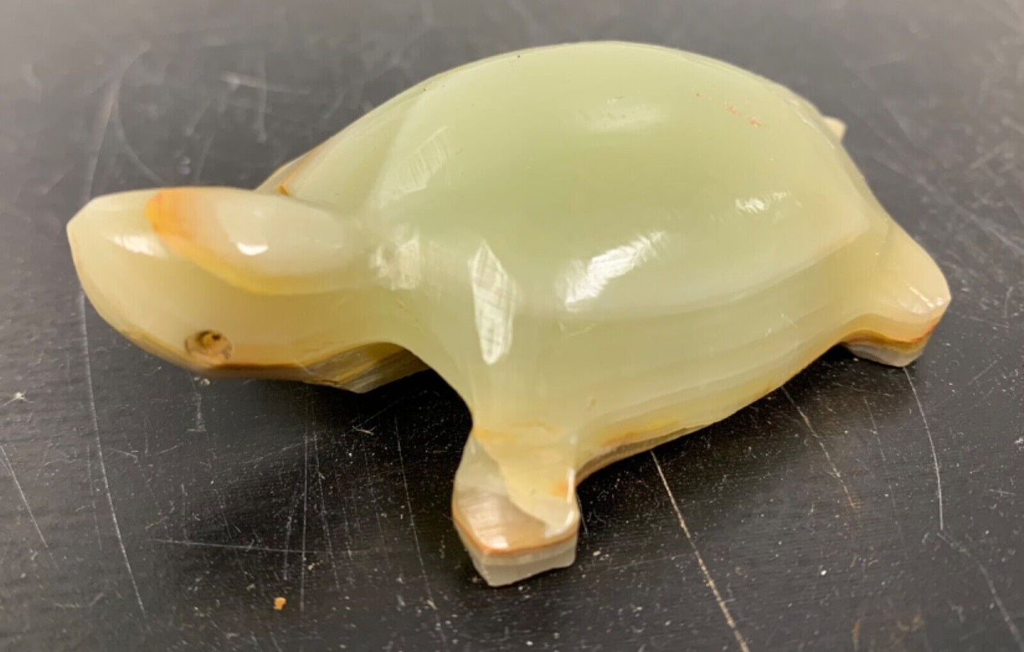 Souvenir de tortue