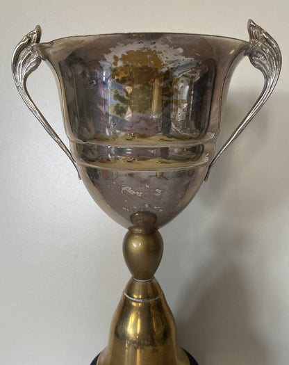 Trofeo Gara Sciistica Stampaggio Negri