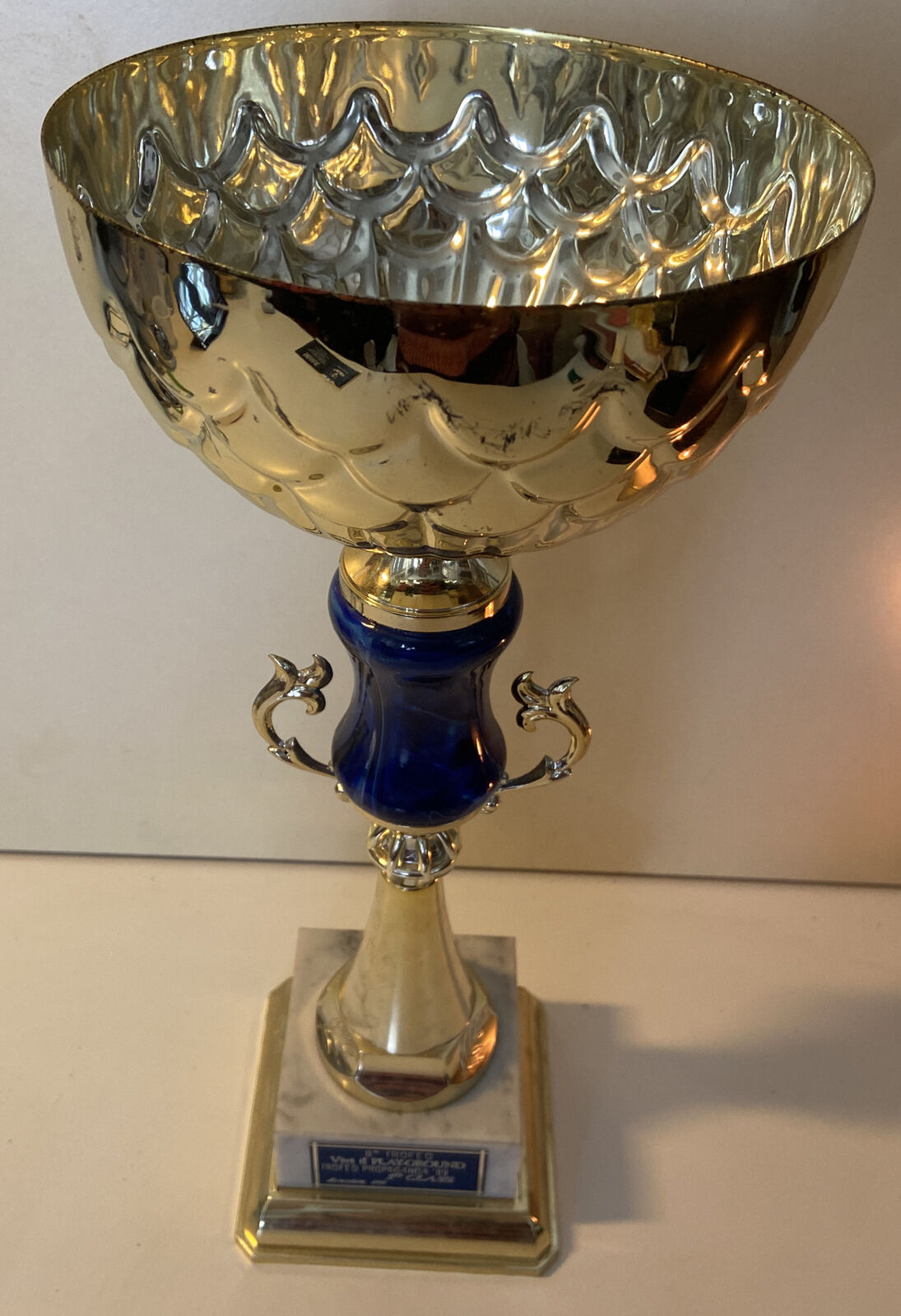 8^ Trofeo Vivi Il Playground Trofeo Propaganda ‘89 - 5^ Classe Moncalieri 2001