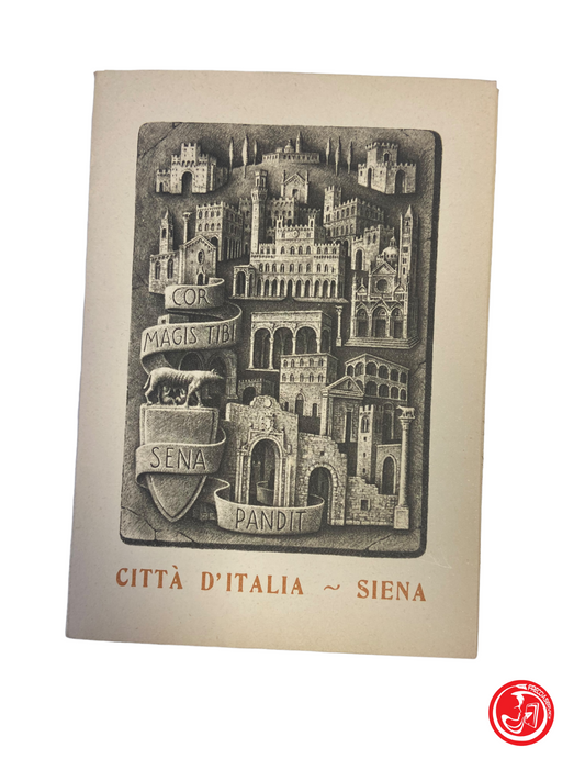 Circa 12 cartoline di Siena - vintage
