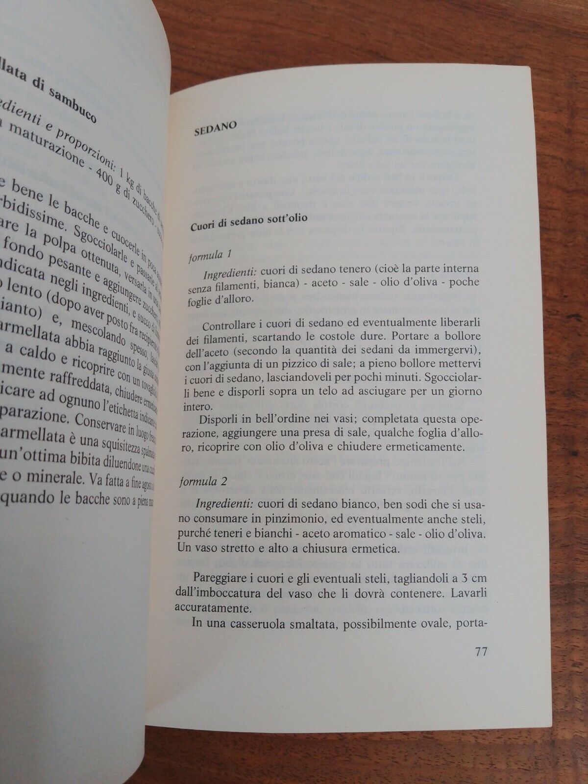 Frutti della terra sotto vetro, F. M. Sole, San Paolo, 1994