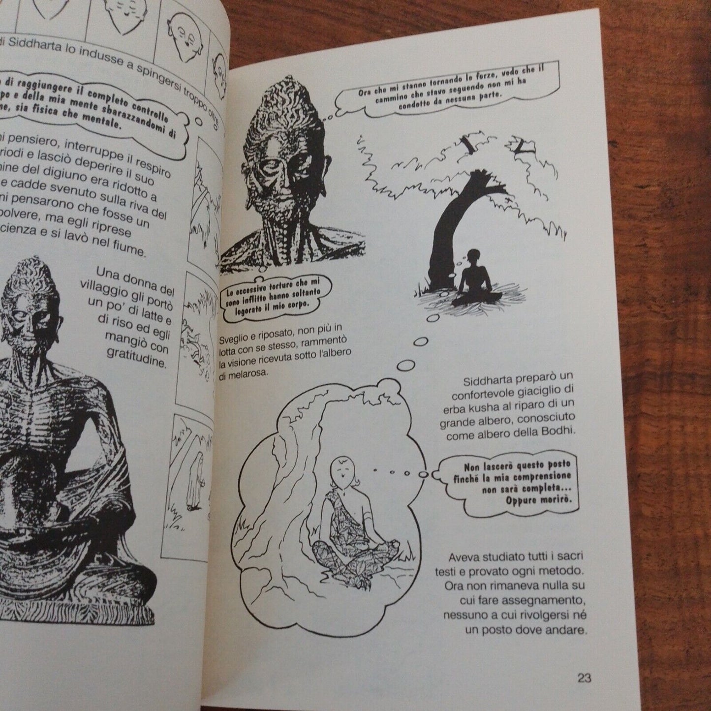 BUDDHA, Jane Hope, Borin Van Loon, Feltrinelli, 1995