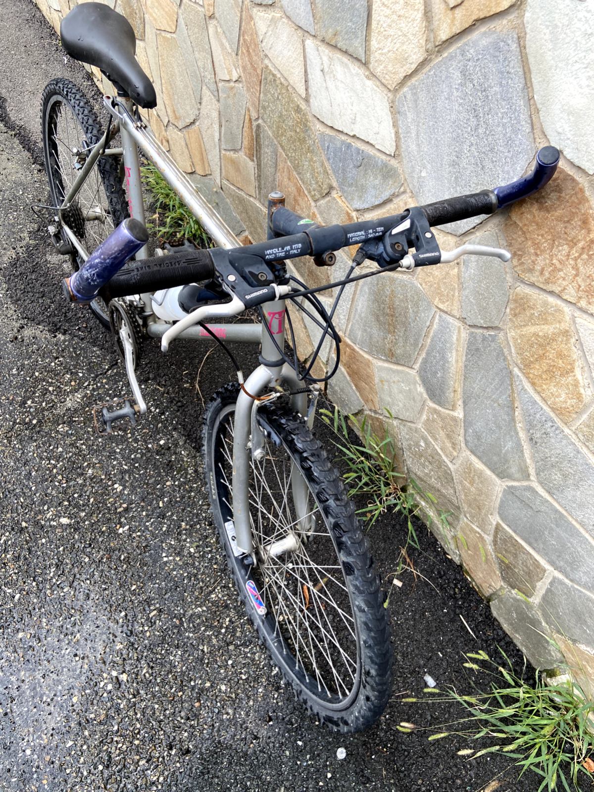 Vélo gris Maisano 