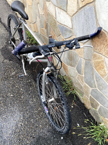 Vélo gris Maisano 