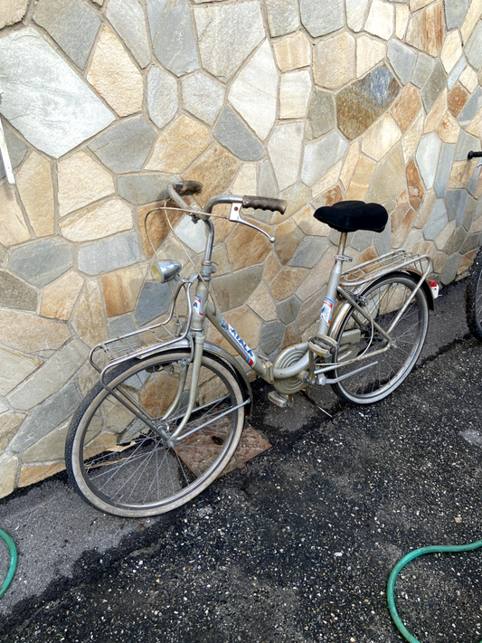 Bici Atala grigia con luce anteriore