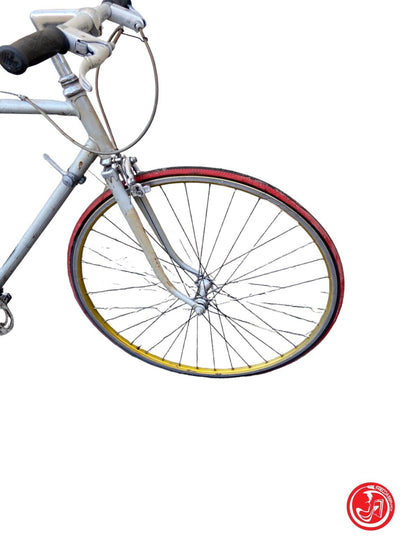 Bicicletta grigia per adulto