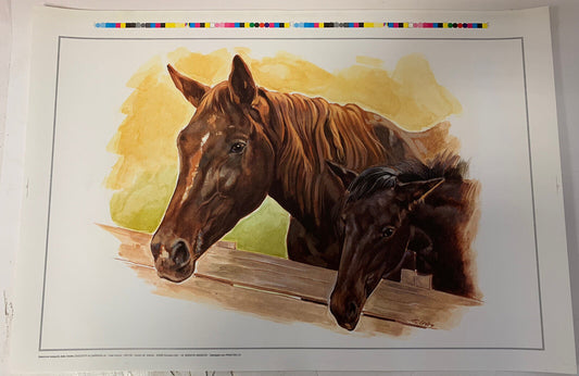 Poster - Drawn horses