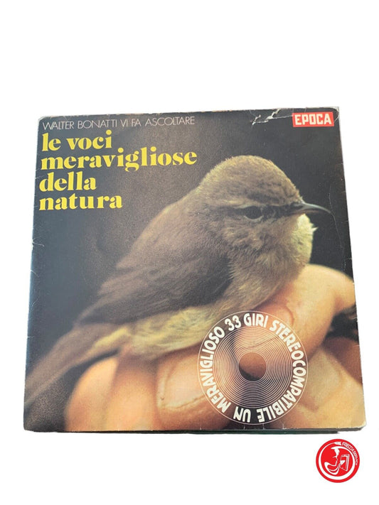 Le Voci Meravigliose Della Natura