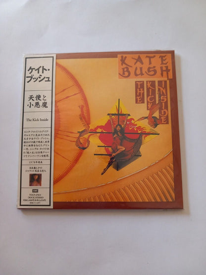 Kate Bush - Le coup de pied à l'intérieur