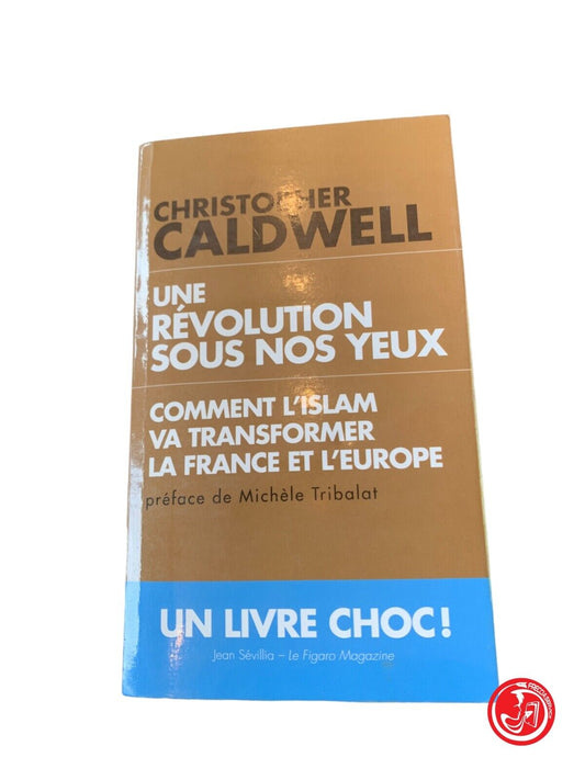 Une Révolution sous nos yeux - Caldwell - Toucan  2011