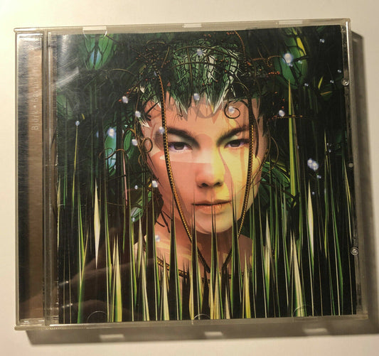 Björk - Bachelorette