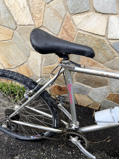Vélo gris Maisano 