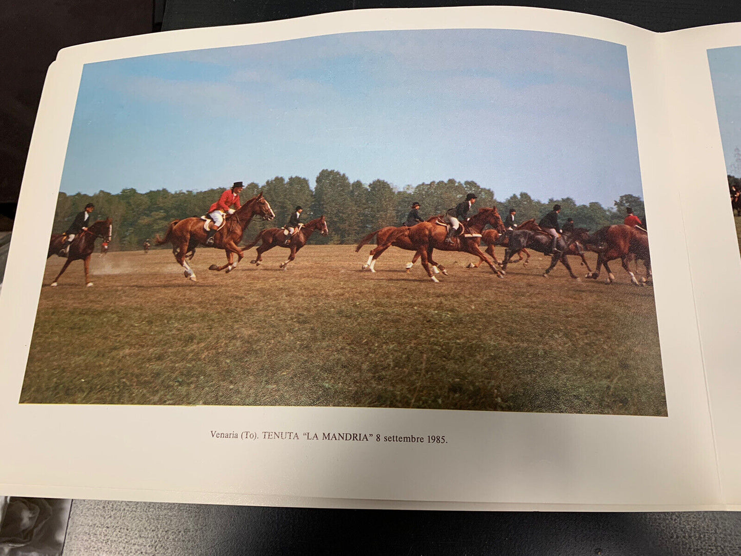 Turin Society for Horse Hunting 1986