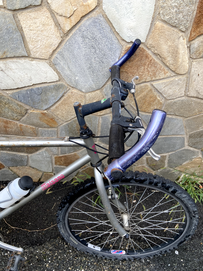 Vélo gris Maisano 